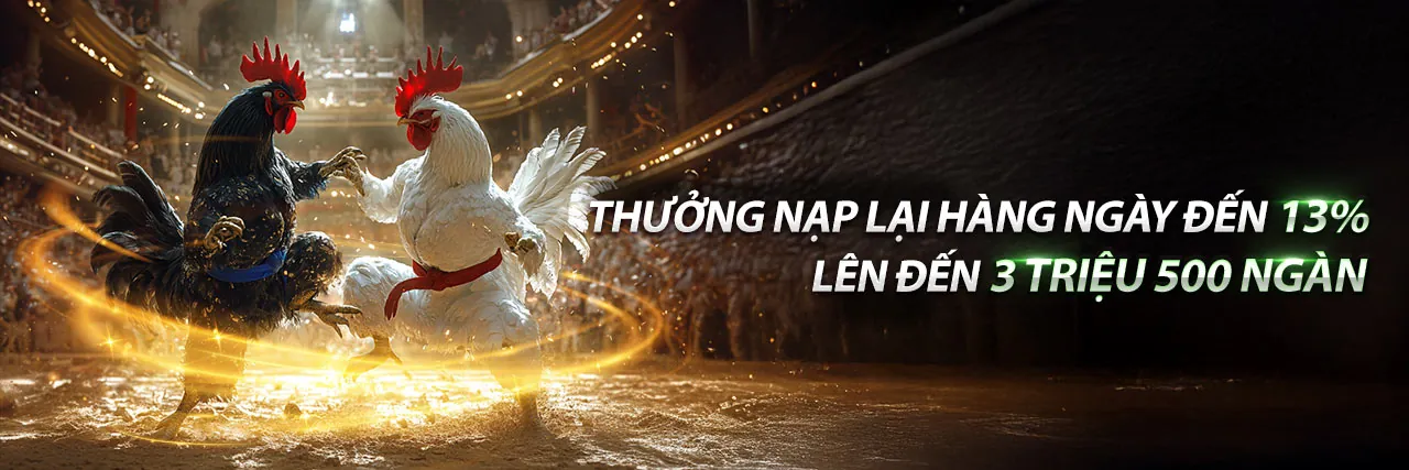 Tổng quan nội dung blog Benbet Chính Thức